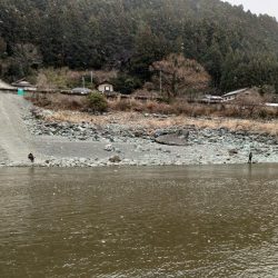 大物大漁となるはずが… ～天竜川ルアーフライ専用区～